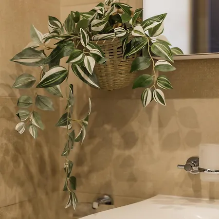 #tiny With Terrace Lägenhet Timişoara