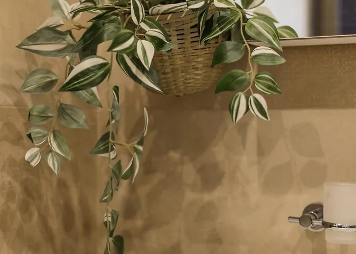 #tiny With Terrace Lägenhet Timişoara