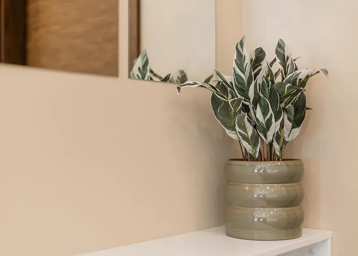 #tiny With Terrace Апартаменты Тимишоара