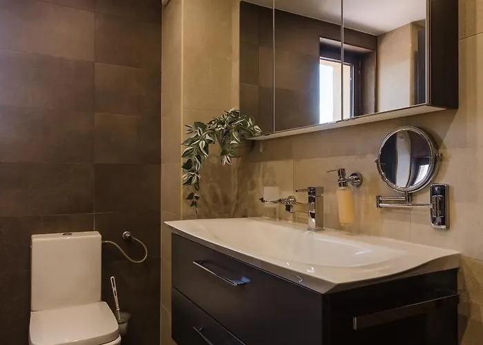 #tiny With Terrace Apartment Timişoara